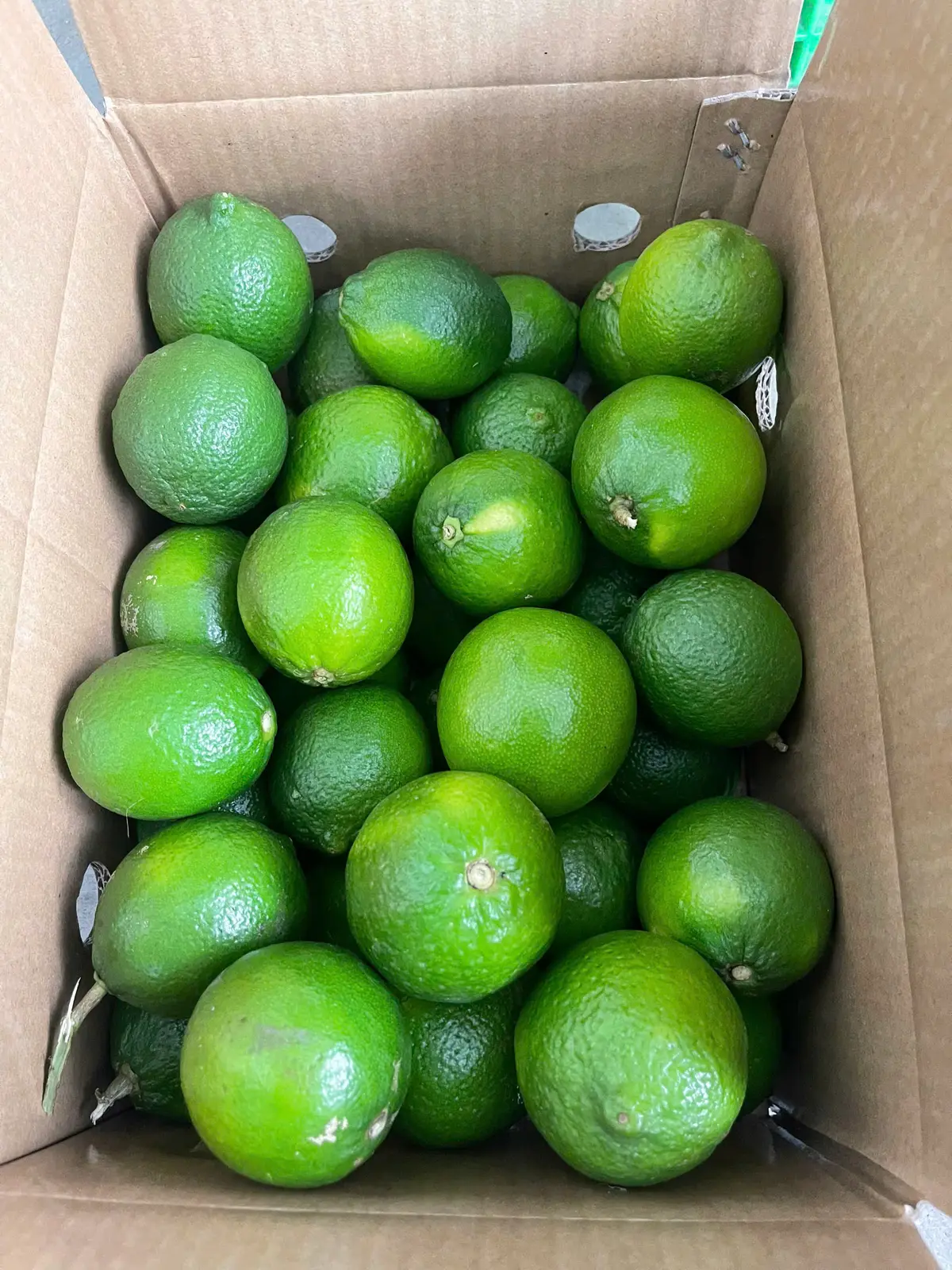 Packed carton showing fruit quality
