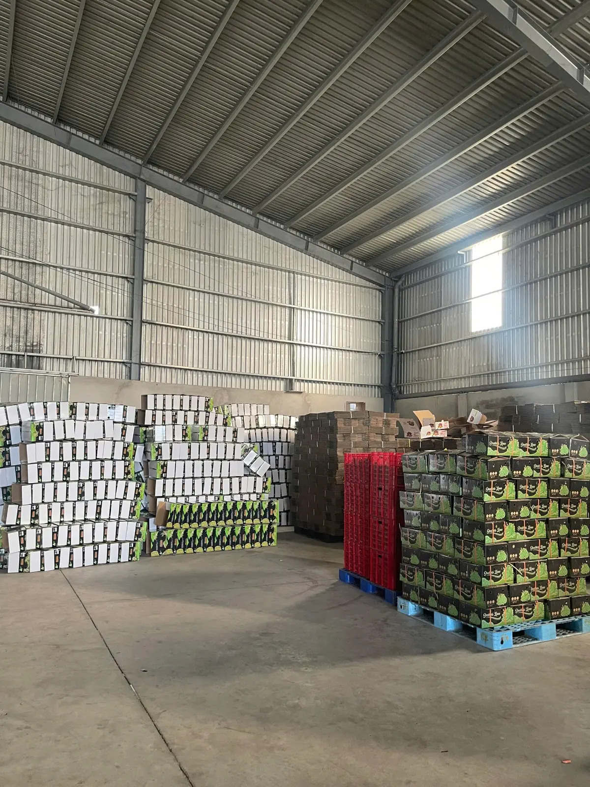 Carton warehouse with packing materials