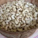 Cashew