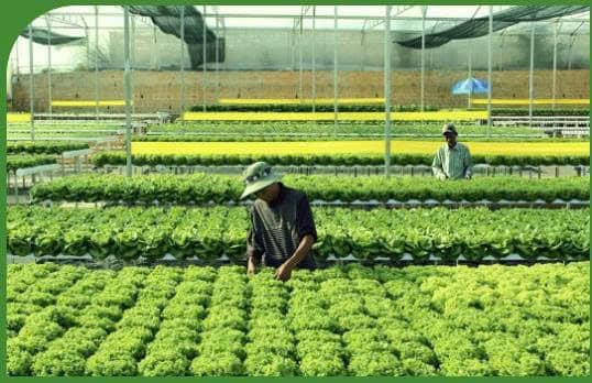 Certified Farm Sourcing