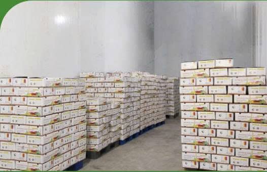 Cold Storage