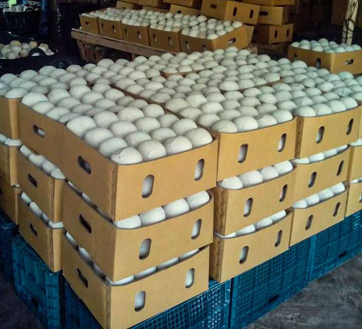 Quality Assurance & Traceability