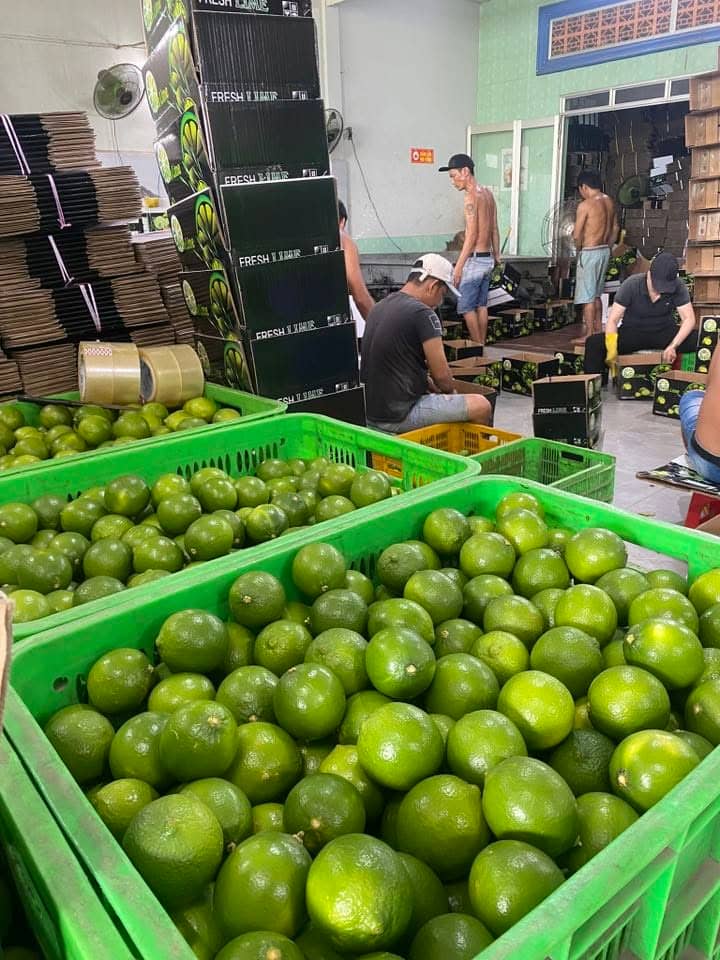 Receiving and Initial Inspection