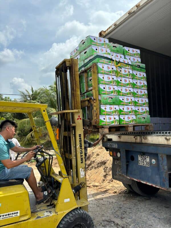 Container Loading & Export