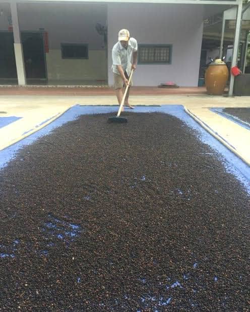 Processing & Product Preparation