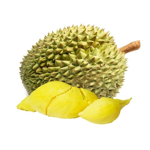 Sầu riêng Đồng bằng sông Cửu Long