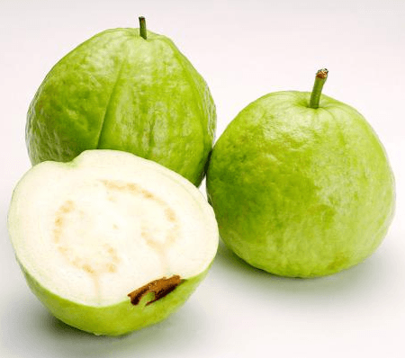 Ổi ruột trắng Việt Nam