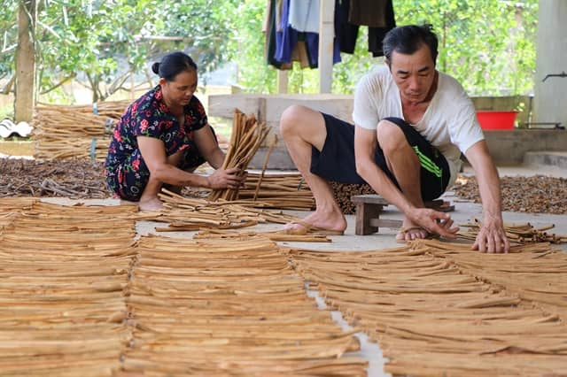 Sấy khô
