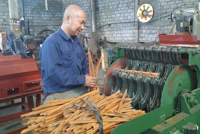Cắt, phân loại và kiểm soát chất lượng