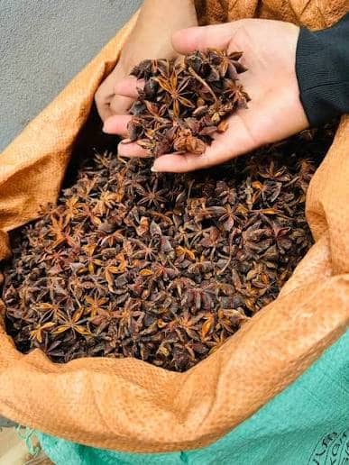 Phân loại & Kiểm tra chất lượng