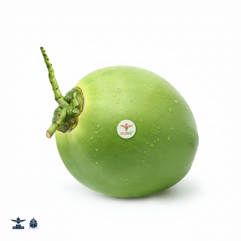 Young Coconut (Whole, Half Green, Diamond, Easy Open, and Polish)