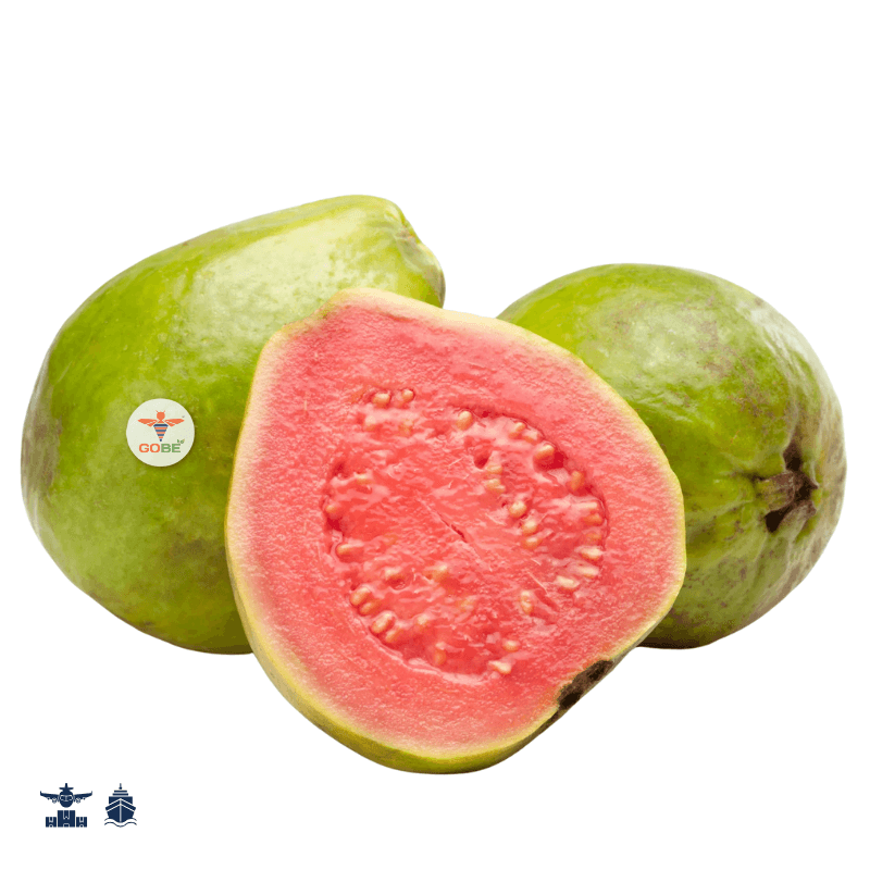 Guava (Red/White Flesh)