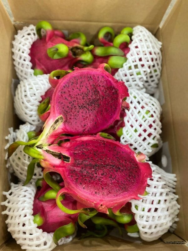 Vietnamese Dragon Fruits (Red/Yellow Skin)