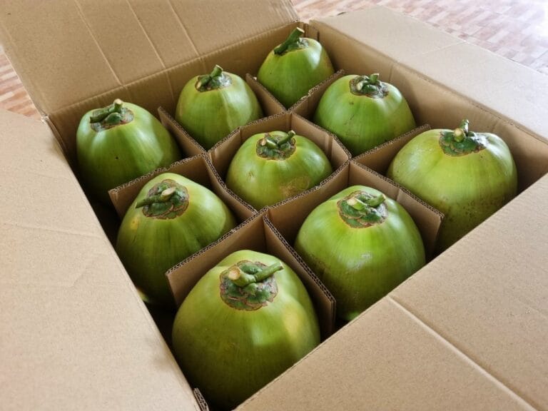 Vietnamese Fresh Coconuts (Green/Diamon Shape)