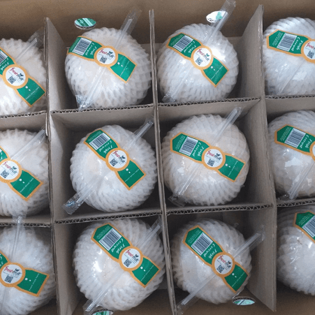 Fresh Young Coconut (Xiem/Lai)