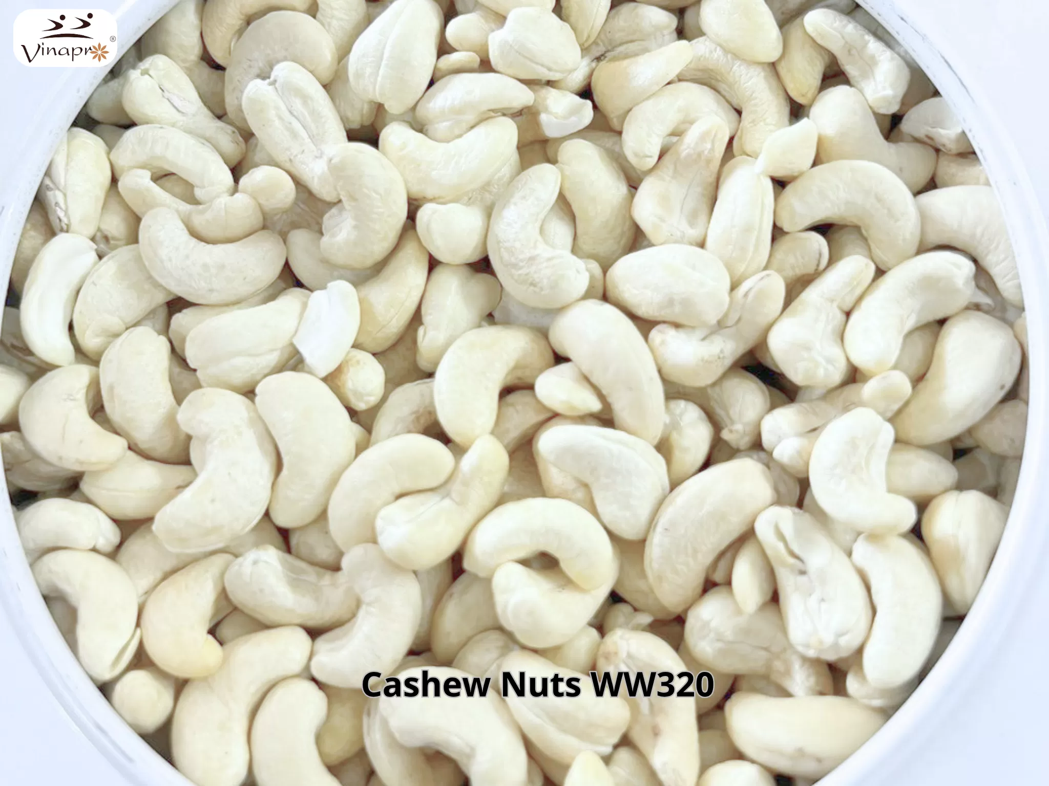 White Whole Cashew Nuts WW240, WW320, WW450