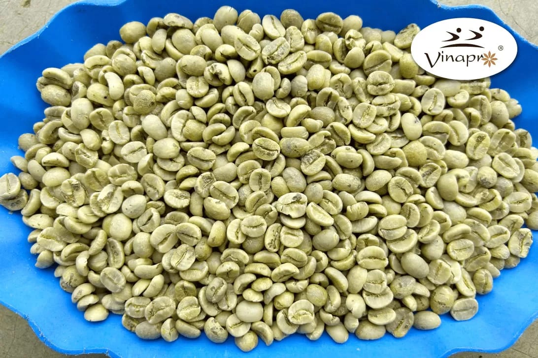 Washed Arabica green coffee beans S18/1616