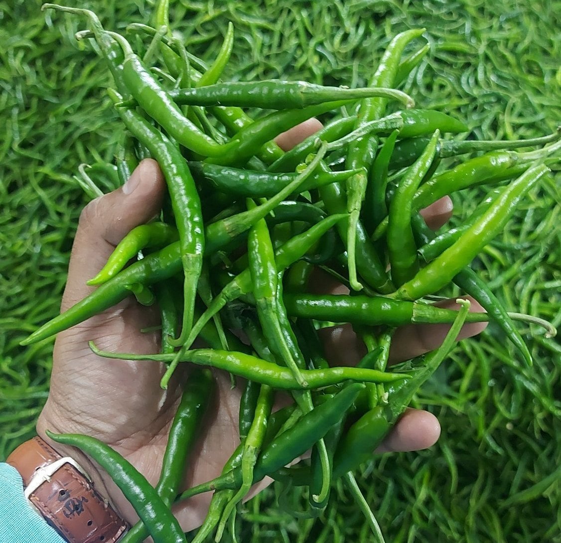 Yêu cầu báo giá Ớt G4 từ UAE | ViRFQ
