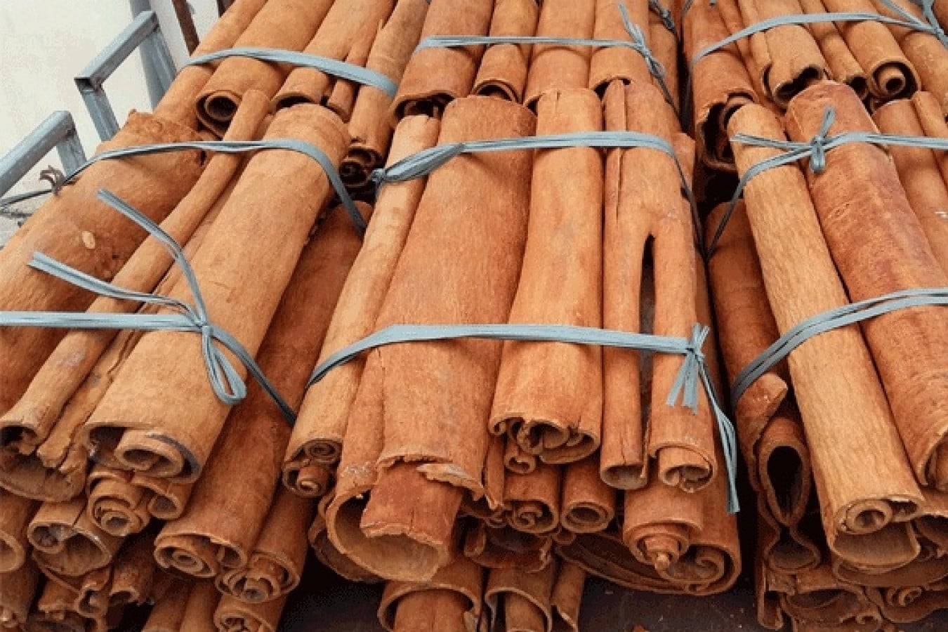 Yêu cầu báo giá quế từ Ấn Độ | ViRFQ
