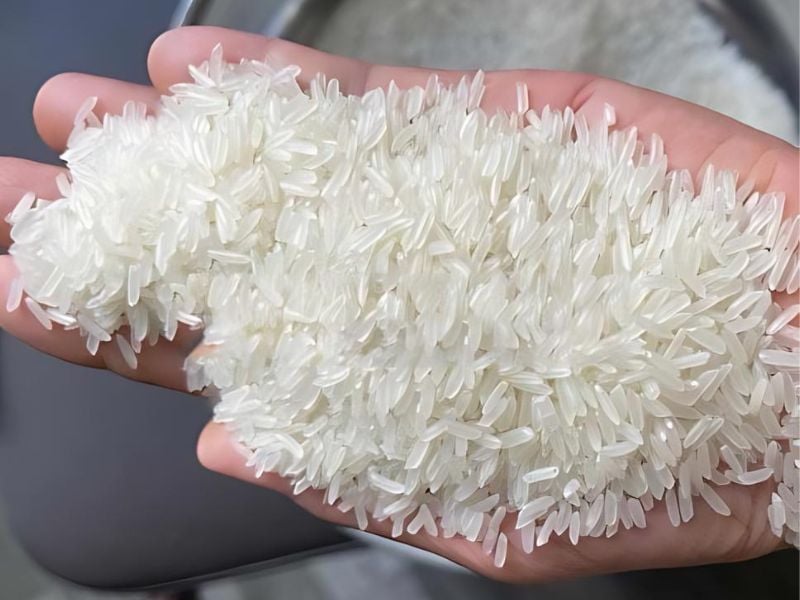 RFQ Gạo Coco Pandan từ Philippines | ViRFQ