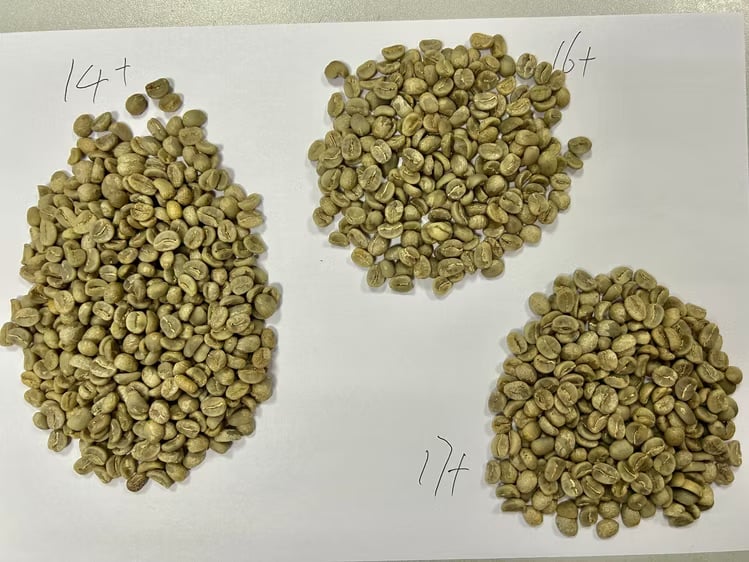 Yêu cầu báo giá cà phê Arabica từ Saudi Arabia | ViRFQ