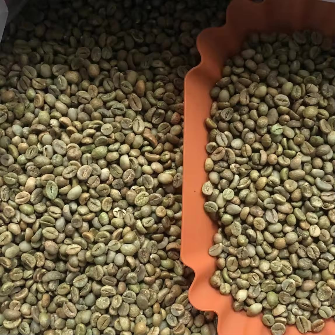RFQ Hạt Cà Phê Arabica từ Ấn Độ | ViRFQ