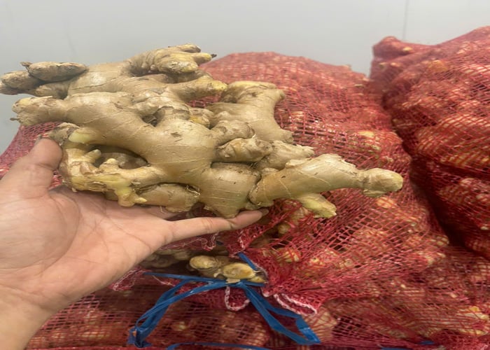 Yêu cầu báo giá Cloves từ Nigeria | ViRFQ