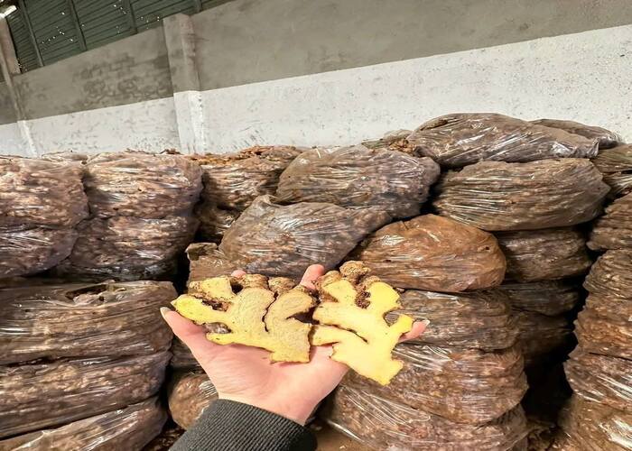 RFQ Bột ớt đỏ, Bột cà rốt, Bột ớt chuông từ Ai Cập | ViRFQ