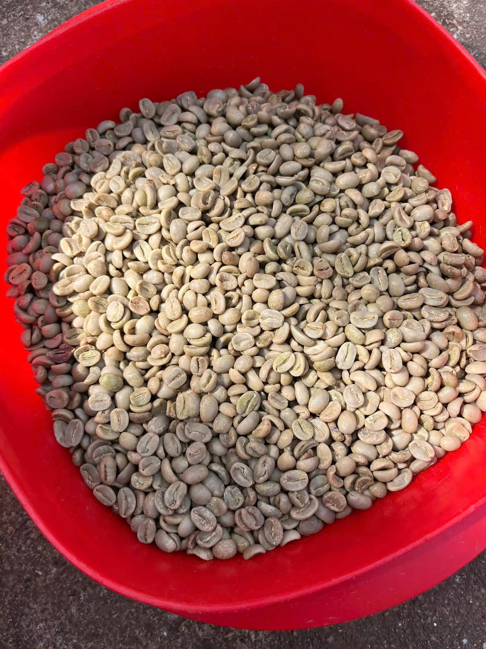 RFQ cà phê Arabica S18 và S14 sơ chế ướt từ Russia | ViRFQ