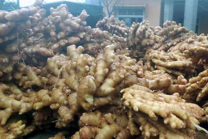 RFQ All of Spices from Bangladesh