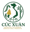 Cúc Xuân